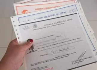Boletas y certificados SEP ya pueden descargarse en línea en CDMX certificados