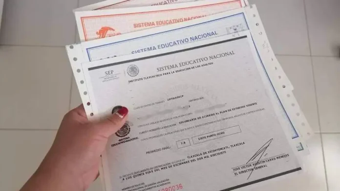 boleta y el certificado de primaria certificados