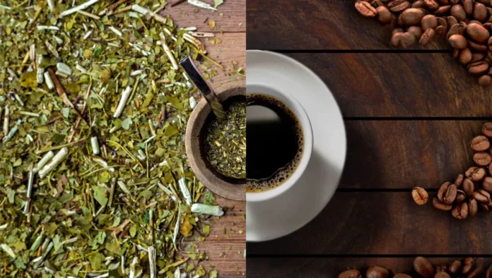 café y té mate consumo café y té mate consumo