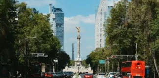 Qué hacer en CDMX este fin de semana: terror, teatro, fotografía y conciertos gratuitos cdmx