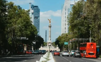 Qué hacer este fin de semana en CDMX: Mundial, arte, experiencias inmersivas y cine cdmx