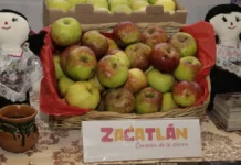 Feria de la Manzana 2026 en Zacatlán: fechas, conciertos, precios y actividades feria de la manzana