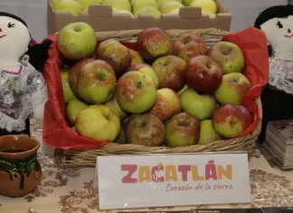 Feria de la Manzana 2026 en Zacatlán: fechas, conciertos, precios y actividades feria de la manzana