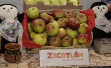 Feria de la Manzana 2026 en Zacatlán: fechas, conciertos, precios y actividades feria de la manzana