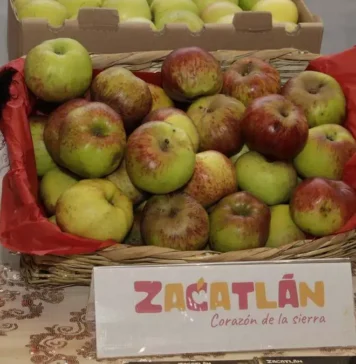 Feria de la Manzana 2026 en Zacatlán: fechas, conciertos, precios y actividades feria de la manzana