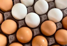 Retiran más de 19 millones de huevos en Estados Unidos por brote de salmonela salmonela