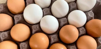Retiran más de 19 millones de huevos en Estados Unidos por brote de salmonela salmonela