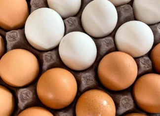 Retiran más de 19 millones de huevos en Estados Unidos por brote de salmonela salmonela