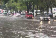Tormenta golpea Azcapotzalco y provoca caída de árboles e inundaciones en CDMX lluvias azcapotzalco