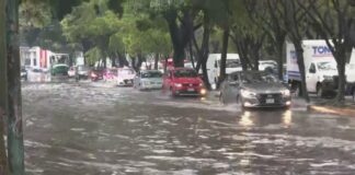 Tormenta golpea Azcapotzalco y provoca caída de árboles e inundaciones en CDMX lluvias azcapotzalco