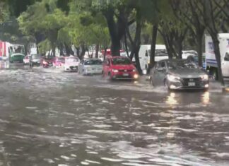 Tormenta golpea Azcapotzalco y provoca caída de árboles e inundaciones en CDMX lluvias azcapotzalco