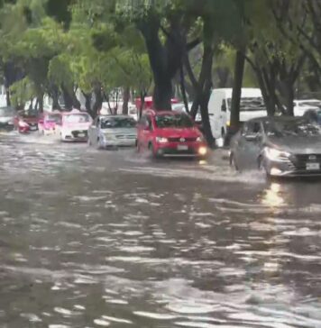Tormenta golpea Azcapotzalco y provoca caída de árboles e inundaciones en CDMX lluvias azcapotzalco