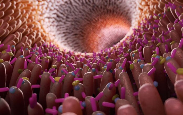 microbiota