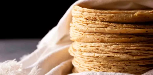 Comer tres tortillas al día no engorda si forman parte de una dieta equilibrada tortillas