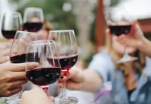 Vendimias 2026: cinco destinos para celebrar el vino mexicano entre viñedos y tradición viñedos