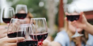 Vendimias 2026: cinco destinos para celebrar el vino mexicano entre viñedos y tradición viñedos