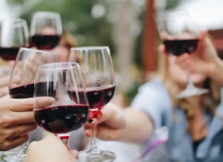 Vendimias 2026: cinco destinos para celebrar el vino mexicano entre viñedos y tradición viñedos
