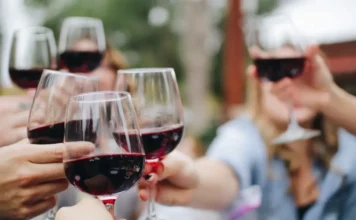 Vendimias 2026: cinco destinos para celebrar el vino mexicano entre viñedos y tradición viñedos