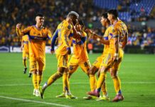 ¿Cemex analiza vender parte de Tigres? Esto es lo que se sabe sobre la posible llegada de Apollo Global Management ¿Cemex analiza vender parte de Tigres? Esto es lo que se sabe sobre la posible llegada de Apollo Global Management