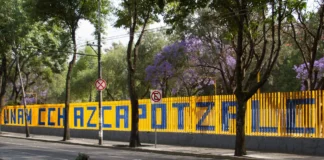 Sayumi logra 115 aciertos y entra al CCH Azcapotzalco: su resultado destaca en el examen UNAM 2026 CCH Azcapotzalco