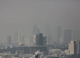 Estudio vincula aumento del CO2 con cambios en la química sanguínea y alerta sobre posibles riesgos a largo plazo CO₂