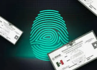 CURP biométrica enfrenta amparo por riesgos de vigilancia y privacidad en México CURP biométrica