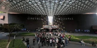 Muestra Internacional de Mujeres en Cine y TV 2026 reúne 41 películas en CDMX Cineteca Nacional