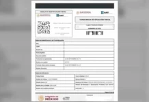 Constancia de Situación Fiscal 2026: cómo descargarla desde el celular y para qué sirve Constancia de Situación Fiscal
