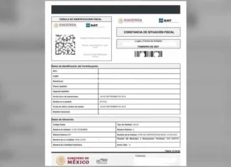 Constancia de Situación Fiscal 2026: cómo descargarla desde el celular y para qué sirve Constancia de Situación Fiscal