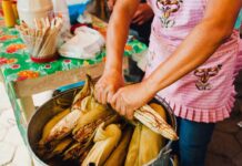 Feria Nacional del Elote 2026: fecha, sede y todo lo que habrá en San Miguel Topilejo Feria Nacional del Elote 2026: fecha, sede y todo lo que habrá en San Miguel Topilejo