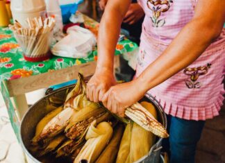 Feria Nacional del Elote 2026: fecha, sede y todo lo que habrá en San Miguel Topilejo Feria Nacional del Elote 2026: fecha, sede y todo lo que habrá en San Miguel Topilejo