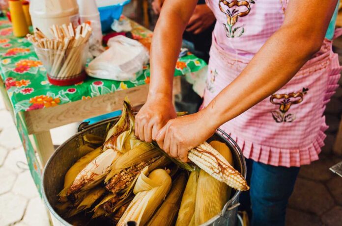 Feria Nacional del Elote 2026- fecha, sede y todo lo que habrá en San Miguel Topilejo Feria Nacional del Elote 2026: fecha, sede y todo lo que habrá en San Miguel Topilejo