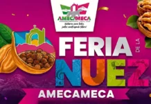 Feria de la Nuez 2026 en Amecameca: disfruta nuez de Castilla, comida y conciertos gratis Feria de la Nuez 2026 en Amecameca: disfruta nuez de Castilla, comida y conciertos gratis