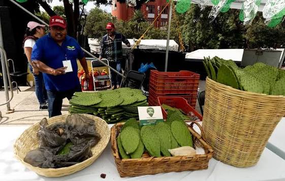 Feria del Nopal 2026 en CDMX- gastronomía, cultura y productos locales Feria del Nopal 2026 en CDMX: gastronomía, cultura y productos locales