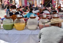 Feria del Pulque y el Pozole 2026: fecha, lugar y todo lo que encontrarás cerca de CDMX Feria del Pulque y el Pozole 2026: fecha, lugar y todo lo que encontrarás cerca de CDMX