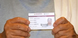 Tarjeta INAPAM 2026: 15 especialidades médicas gratuitas para adultos mayores INAPAM