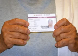 Tarjeta INAPAM 2026: 15 especialidades médicas gratuitas para adultos mayores INAPAM