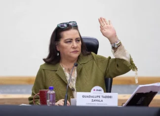INE aclara contrato con Territorium Life tras polémica por examen de la UNAM: ¿para qué usa su plataforma? Territorium Life