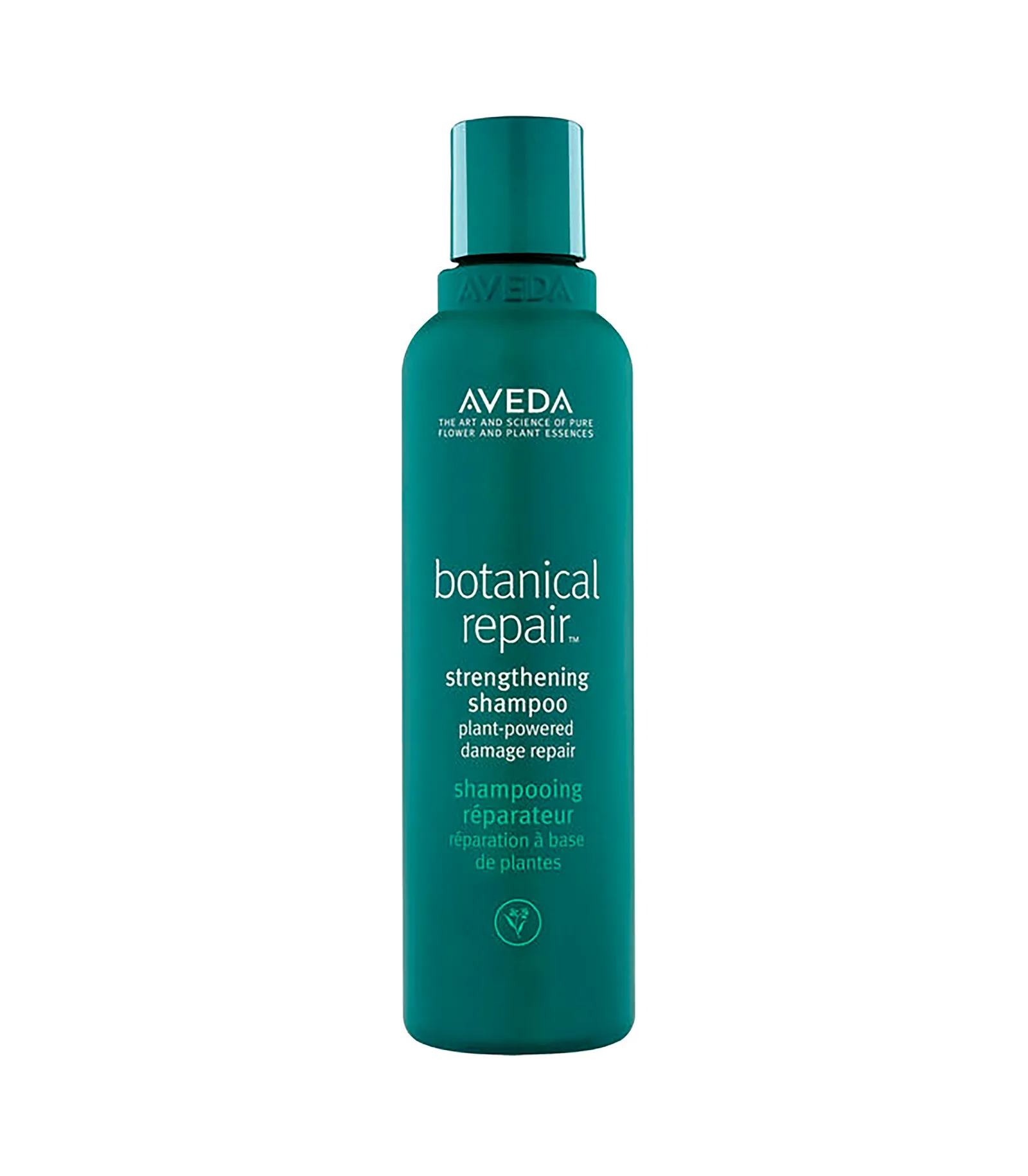 Los mejores shampoos para cuidar tu cabello y mejorar tu rutina capilar