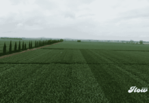 Querétaro inaugura el primer ForwardFarm de México para impulsar la agricultura regenerativa ForwardFarm