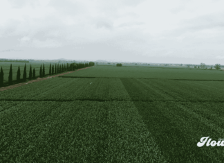 Querétaro inaugura el primer ForwardFarm de México para impulsar la agricultura regenerativa ForwardFarm
