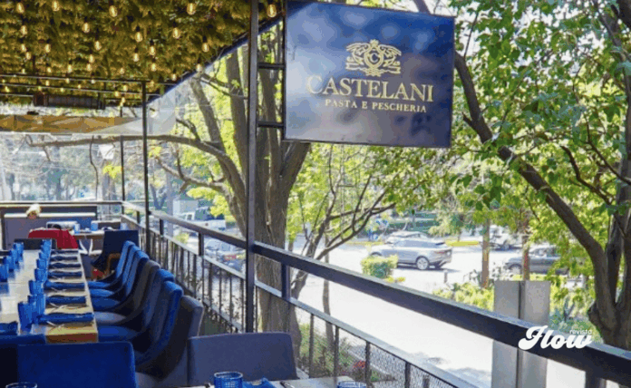 Notas castelani polanco castelani polanco