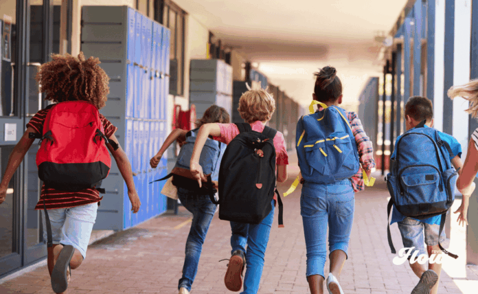 Notas regreso a clases regreso a clases