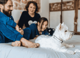 Dormir mejor empieza en el dormitorio: 5 cambios que pueden favorecer un descanso más reparador dormir