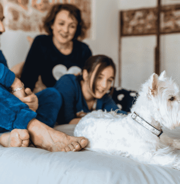 Dormir mejor empieza en el dormitorio: 5 cambios que pueden favorecer un descanso más reparador dormir