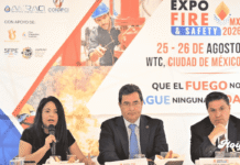 Incendios cuestan a México más de 12 mil mdp al año; sector exige nueva regulación Incendios