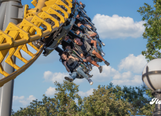 Six Flags México lanza Flash Sale 2027: Gold Pass desde 999 pesos y más de 16 meses de acceso six flags
