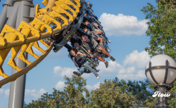 Six Flags México lanza Flash Sale 2027: Gold Pass desde 999 pesos y más de 16 meses de acceso six flags