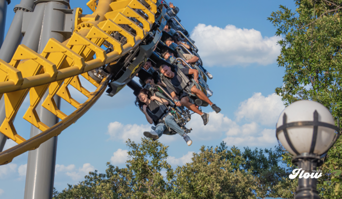 six flags