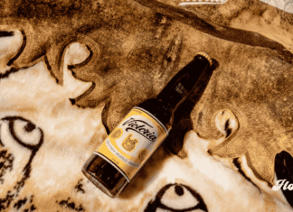 Cerveza Victoria, Carín León y Brenda Equihua convierten la tradicional cobija mexicana en una pieza de moda Victoria